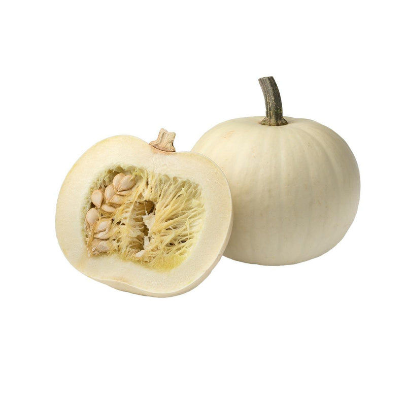 US White Pie Pumpkin  (1pc)