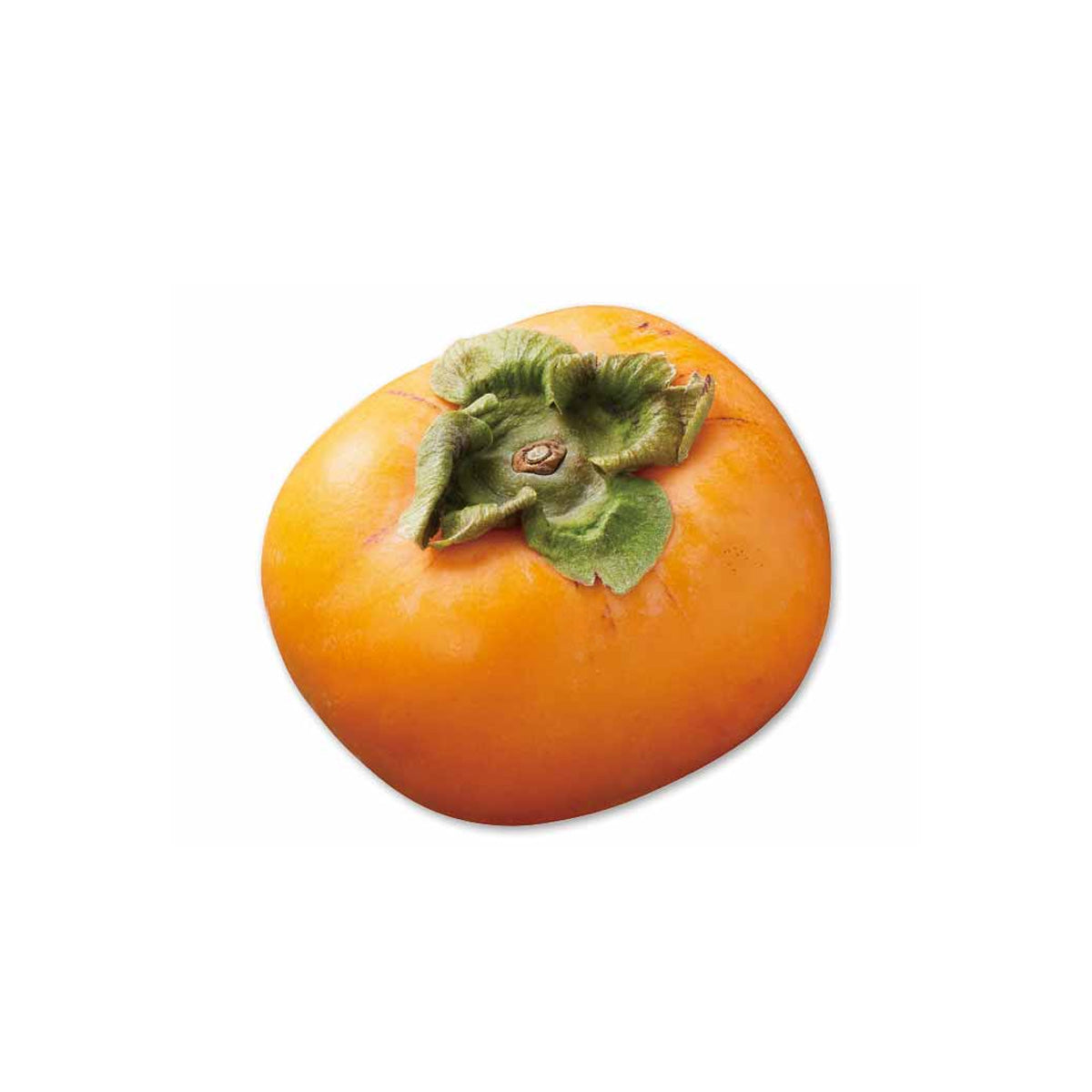 Japanese Nakatani Wase Persimmon  (1pc)