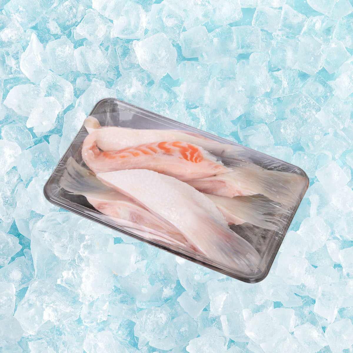 SANFORD New Zealand Big Glory Bay Chilled King Salmon Collar  (200g)