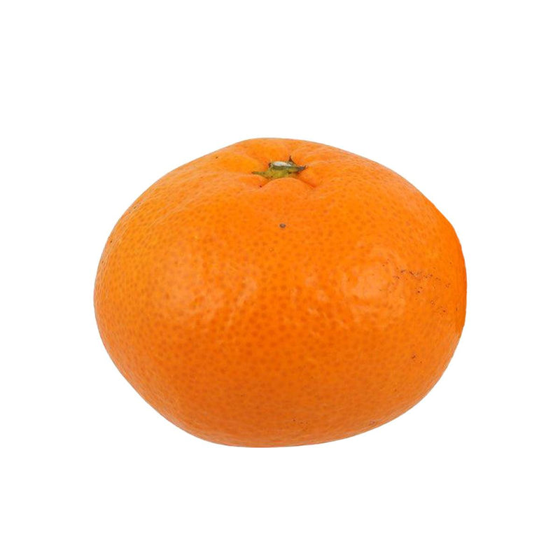 日本熊本青島蜜柑