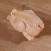 CITYSUPER French Free Range Yellow Spring Chicken [Previously Frozen]  (1pc)
