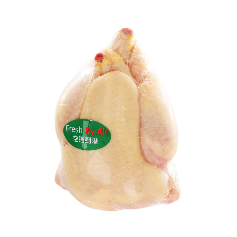 French Chilled Yellow Spring Chicken  (1pack)