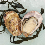 KANEYOKOSHINO Japan Hokkaido Akkeshi Miemaru Oyster N.2 [O.bar]  (1pc)