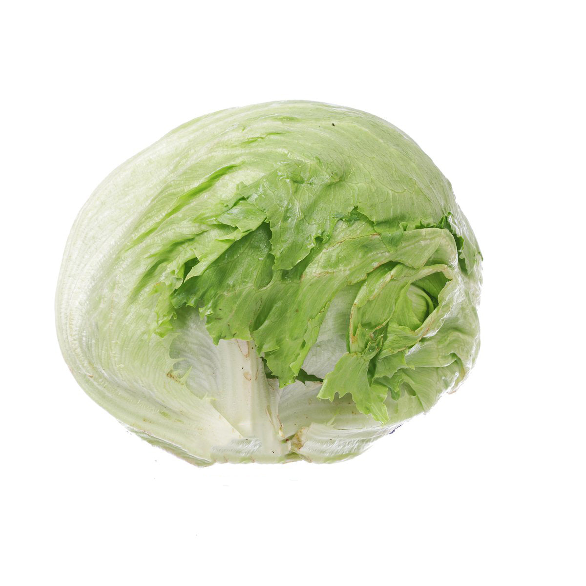 澳洲西生菜  (600g)