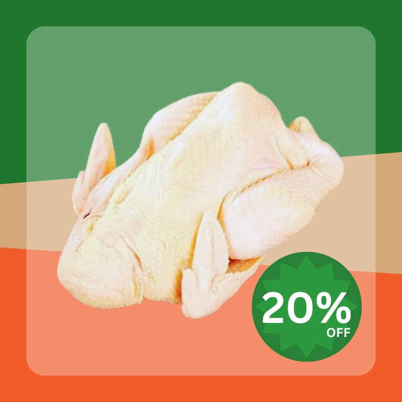 Chinese Chilled Wenchang Whole Chicken  (1pc)