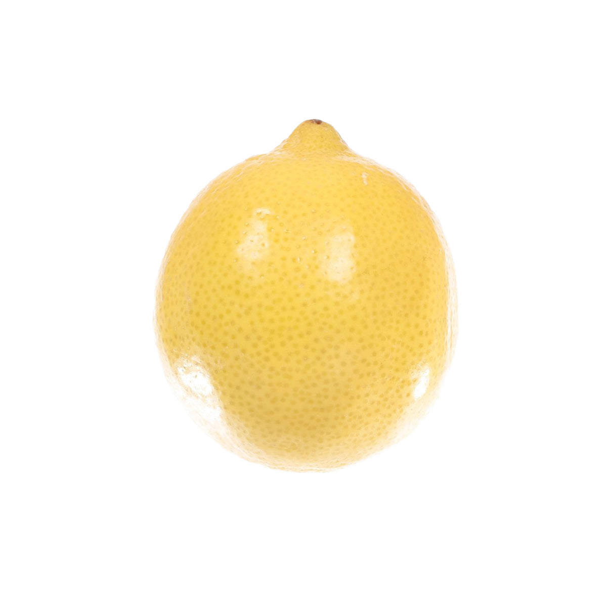 澳洲檸檬 (大)  (1pc)