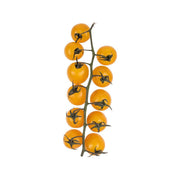TOMASI Italy Sicilian Yellow Vine Cherry Tomato  (600g)