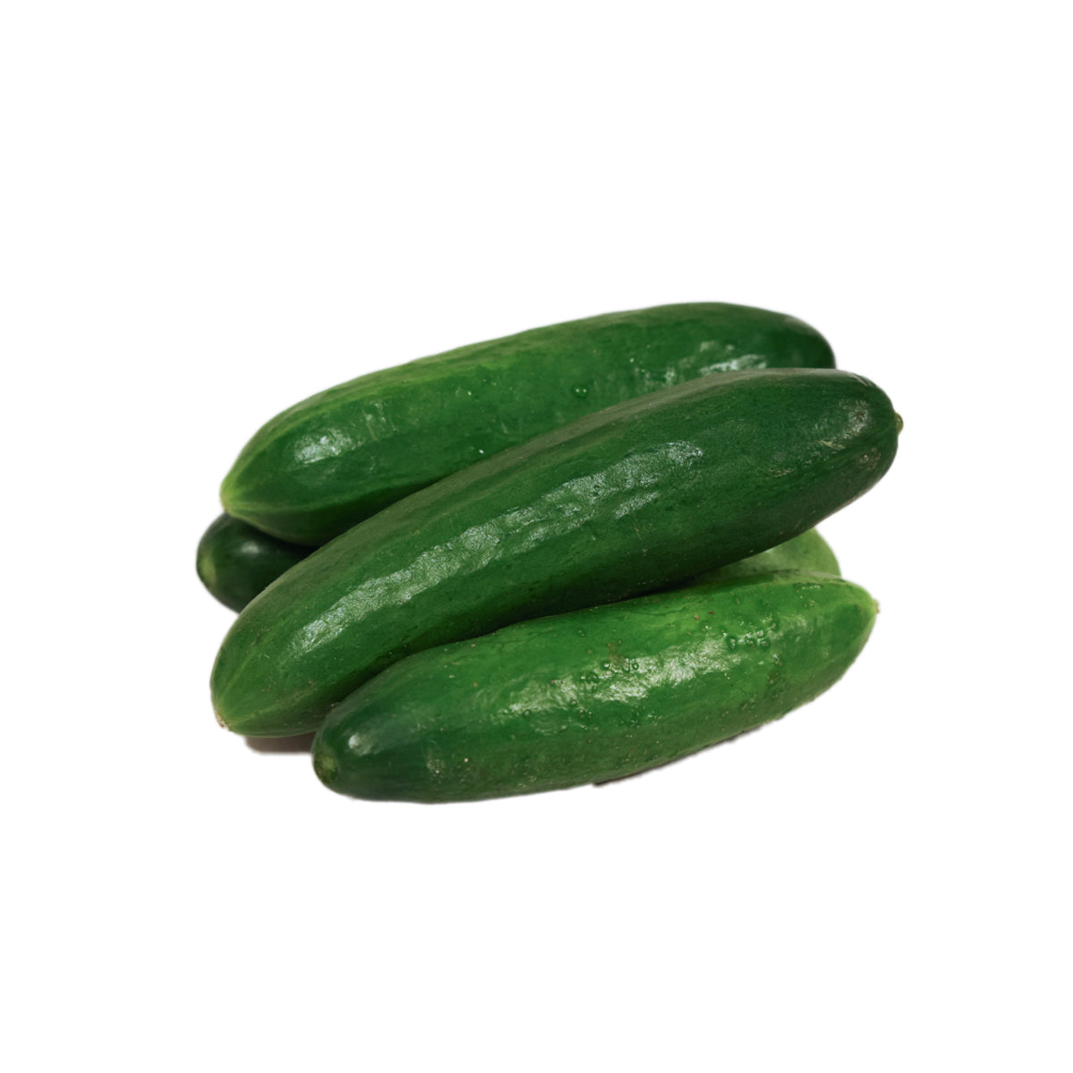 Local Hydroponics Mini Cucumber  (500g)