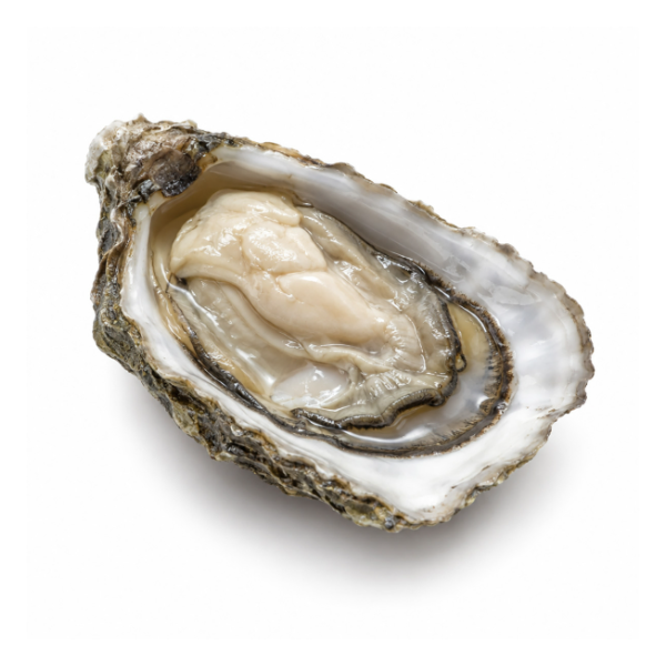 GILLARDEAU French Gillardeau GIGA Speciale Oysters Nr.00  (1pc)
