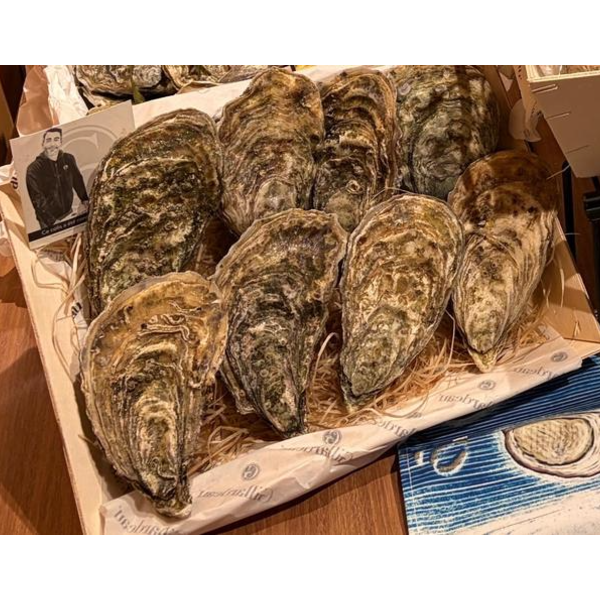 GILLARDEAU French Gillardeau GIGA Speciale Oysters Nr.00 [Case Promotion]  (1box)