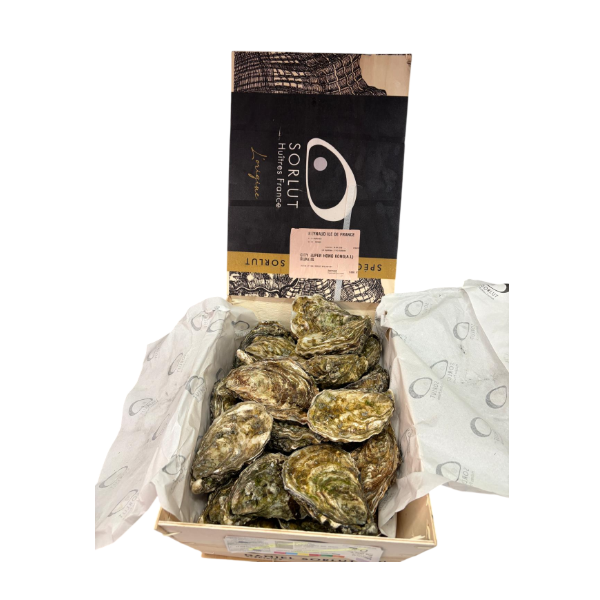 SORLUT French Sorlut Special Oyster Nr.0 [Case Promotion]