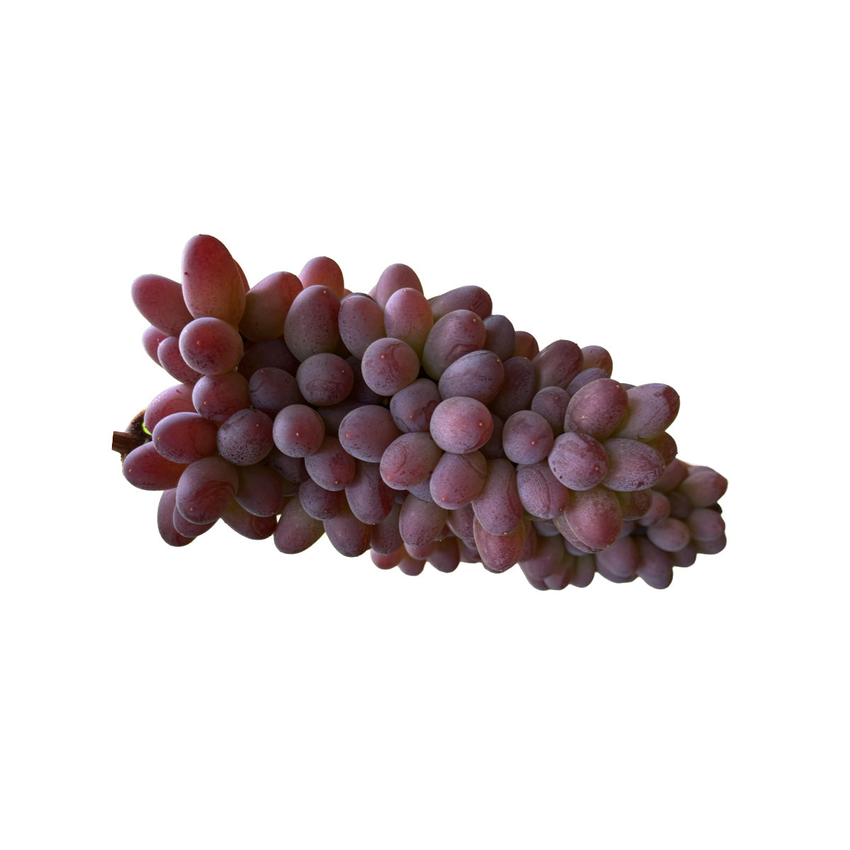 ASIAN FARMER Chinese Seedless Red Grapes  (1pack)