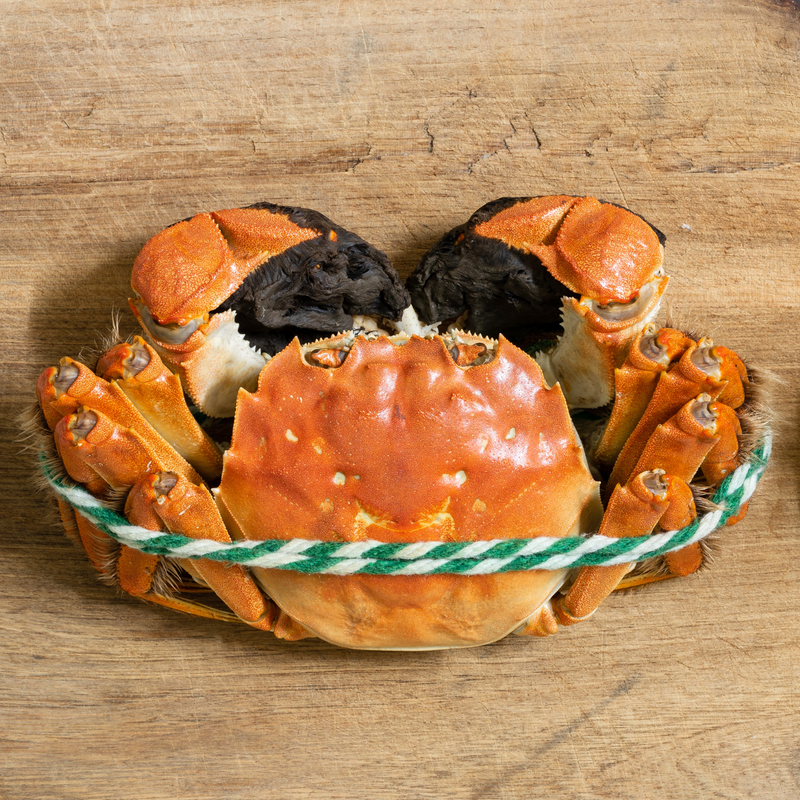 LKH Jiangsu Hairy Crab