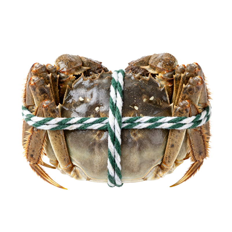 LKH Jiangsu Hairy Crab