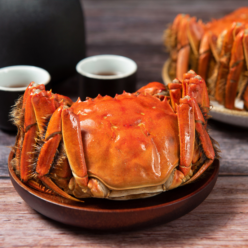 Ng Fung Jiangsu Hairy Crab