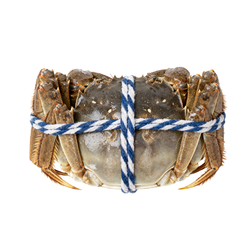 Ng Fung Jiangsu Hairy Crab