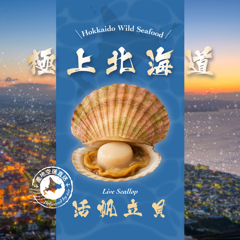 KANESHIME-C 日本北海道活帆立貝 (pc)