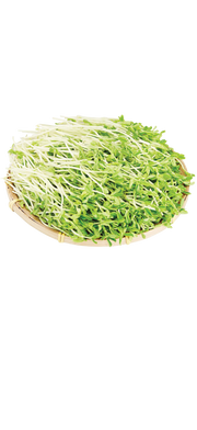 Local Organic Jade Sprouts  (600g)