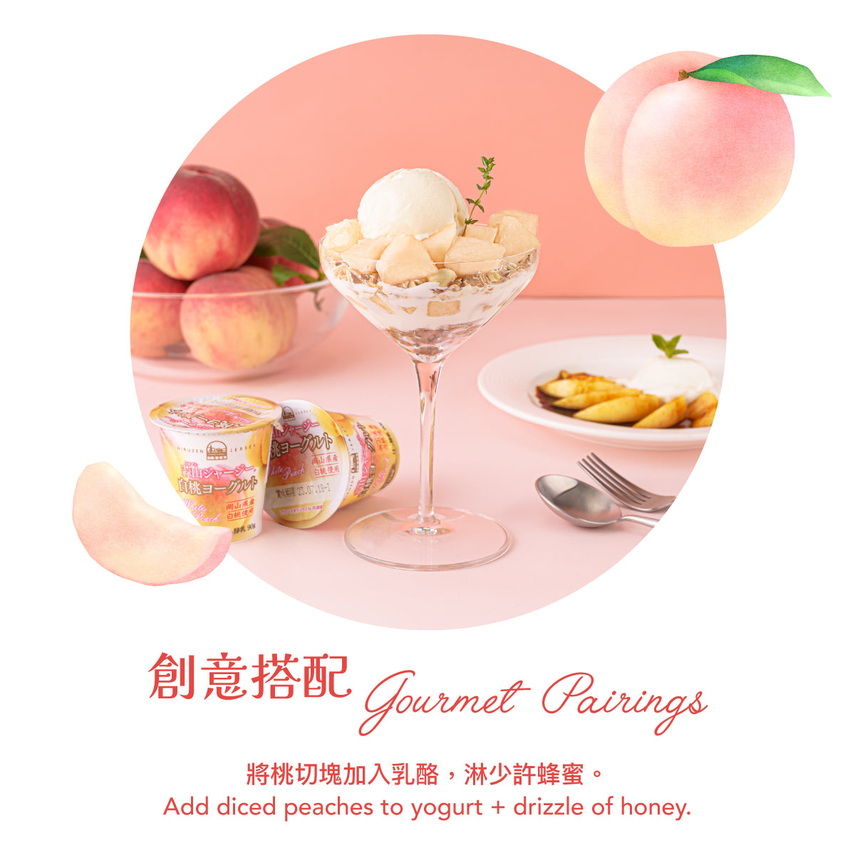 Japan Yamanashi Saito Farm Peach 15-16’s  (1pc)