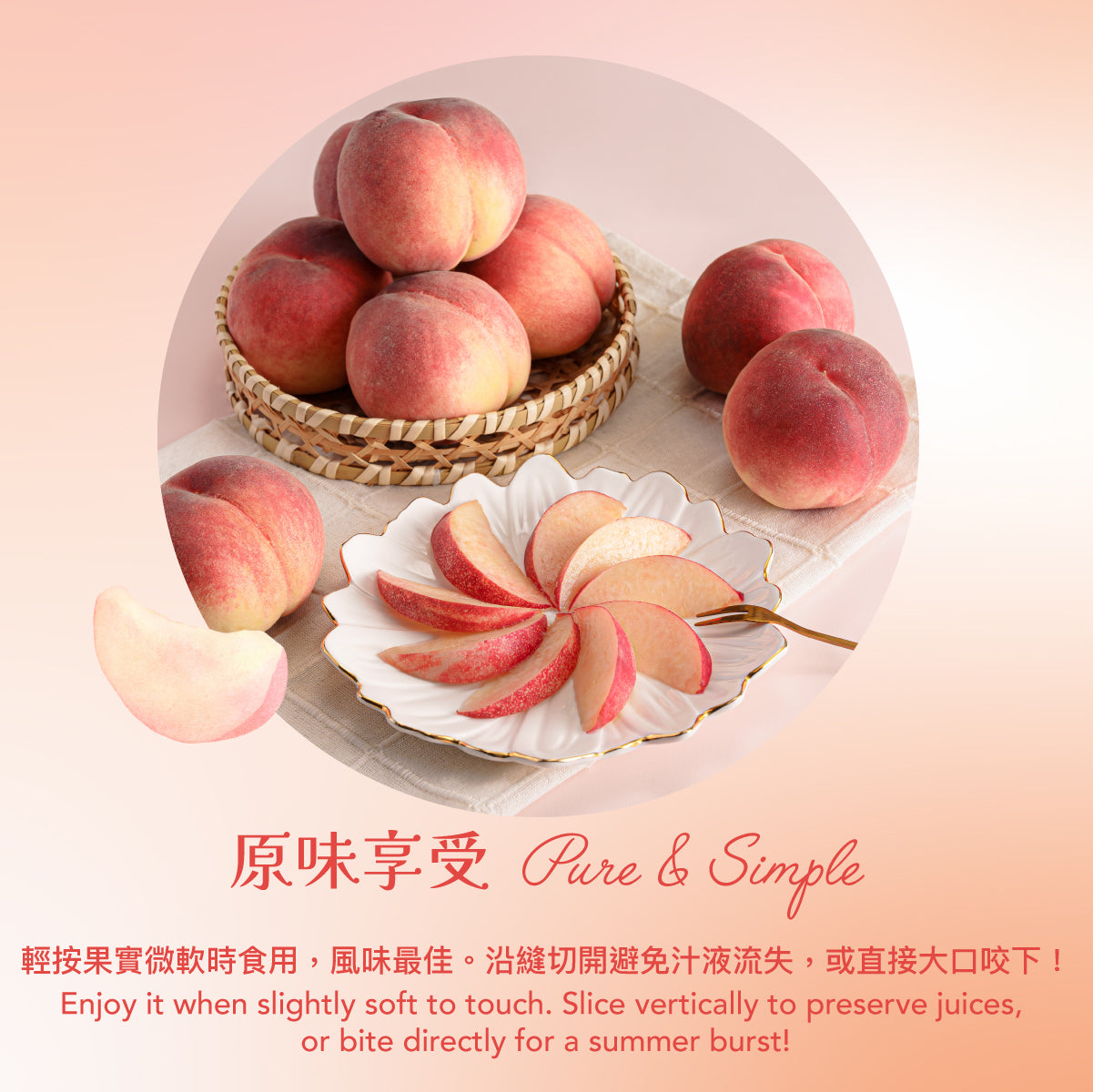 Japan Yamanashi Saito Farm Peach 15-16’s  (1pc)