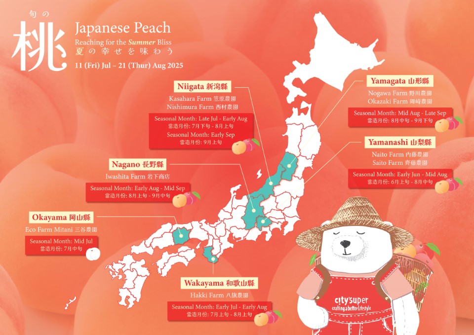 Japan Wakayama Peach  (1pack)