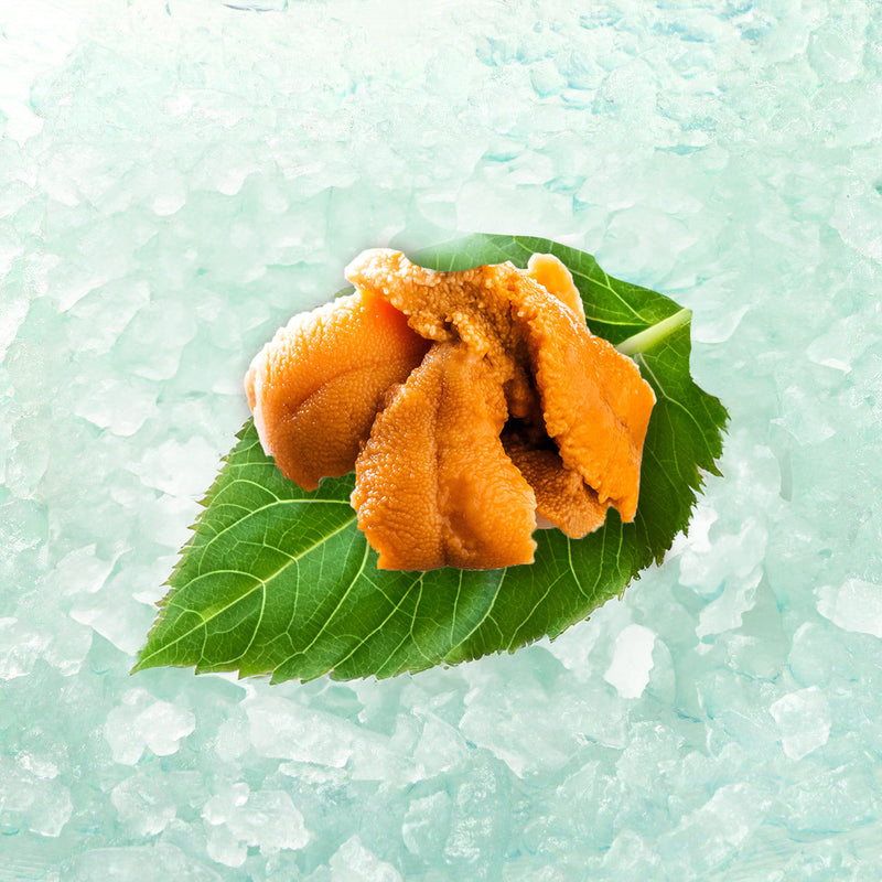 HIRAKAWA Japan Hokkaido Sea Urchin