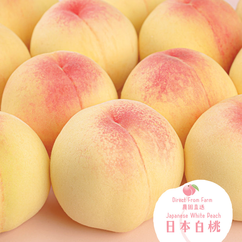 日本岡山縣白桃 13-14裝 (Royal Grade) (2pcs)