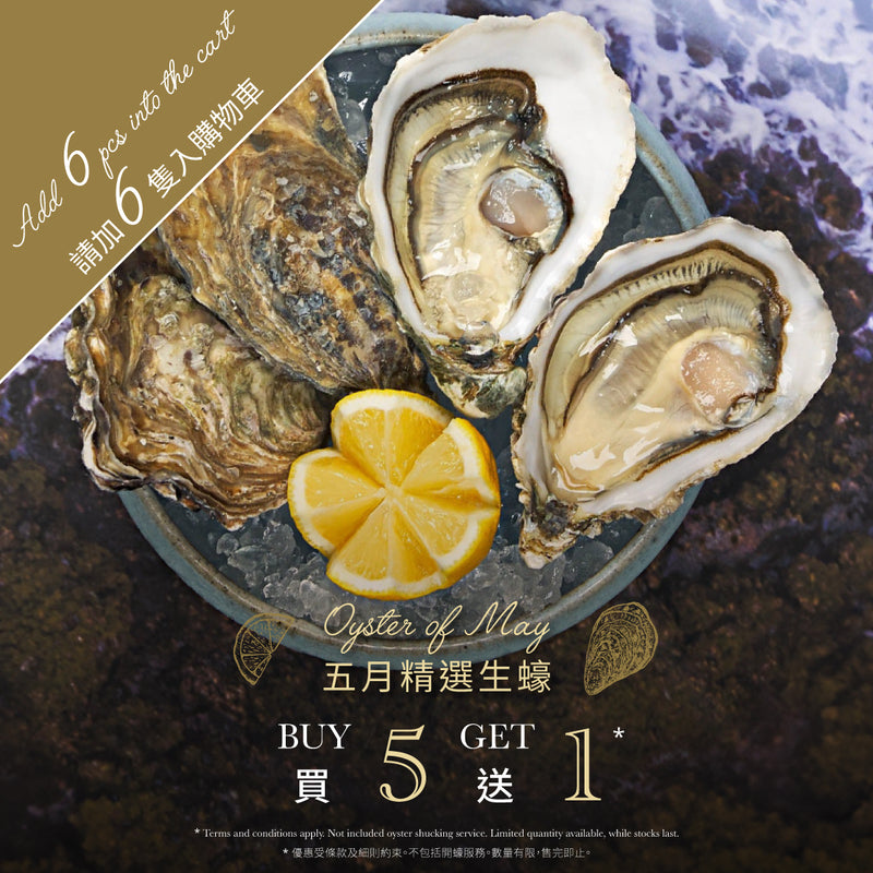 GILLARDEAU 法國吉拉得生蠔Nr.0  (1pack)
