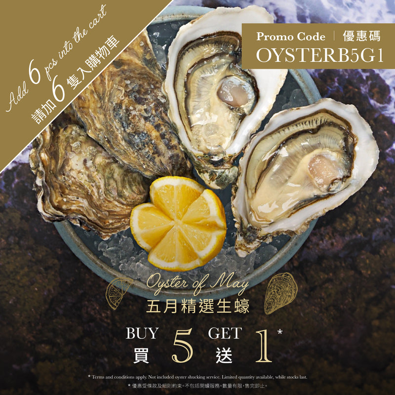 GILLARDEAU 法國吉拉得生蠔Nr.0  (1pack)