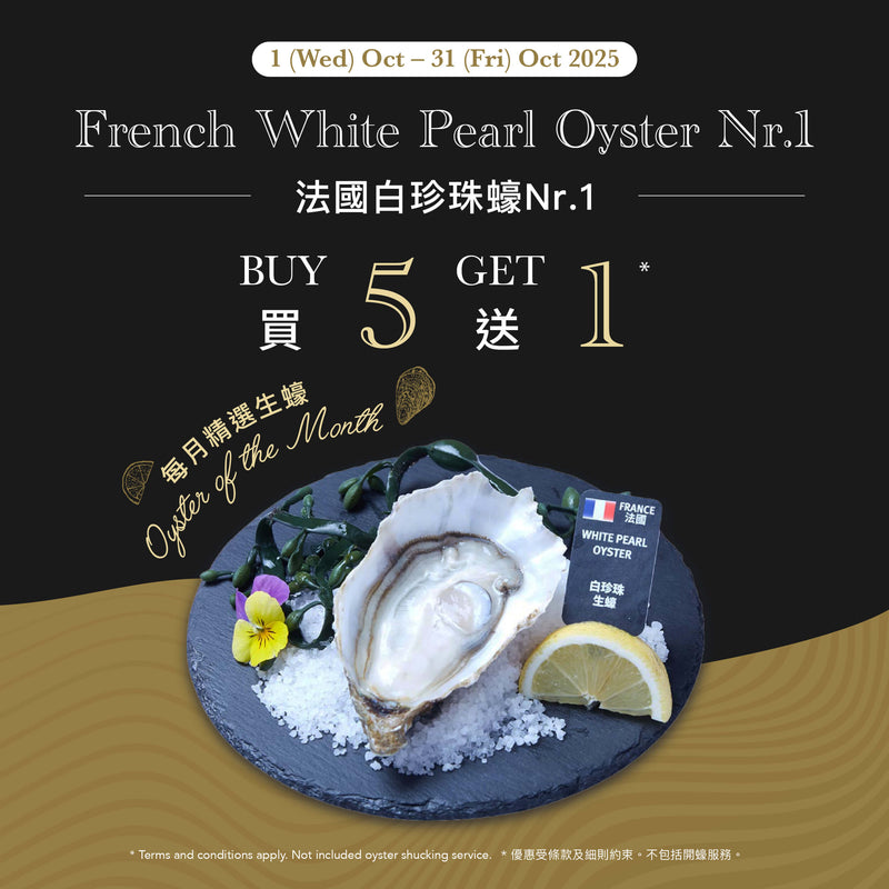PERLE BLANCHE French White Pearl Oyster Nr.1  (1pc)