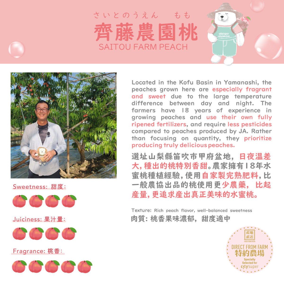 Japan Yamanashi Saito Farm Peach 15-16’s  (1pc)