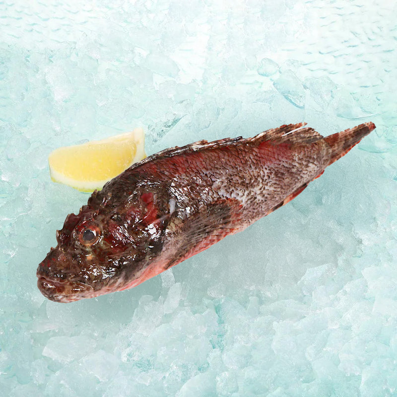 石崇魚  (200g)