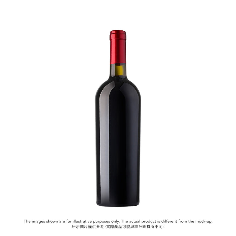 BERTRAND MACHARD DE GRAMONT Nuits Saint Georges Hauts Pruliers 2019 (750mL)