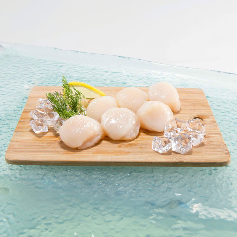 CLEARWATER Canadian Frozen Wild Caught Sea Scallops - MSC  (340g)