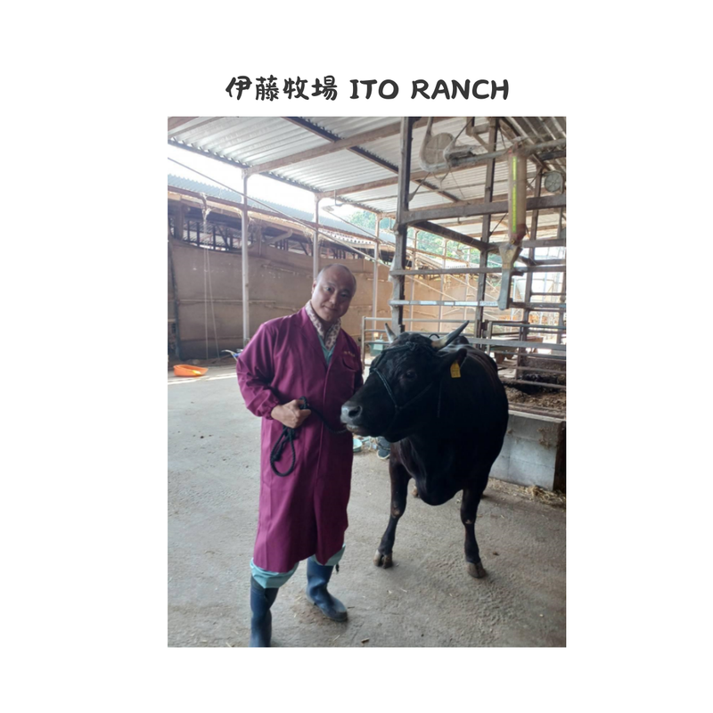 特產松阪牛 日本冰鮮A5級特產松阪牛和牛萬用切盤  (200g)