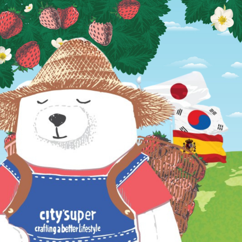 士多啤梨大集結