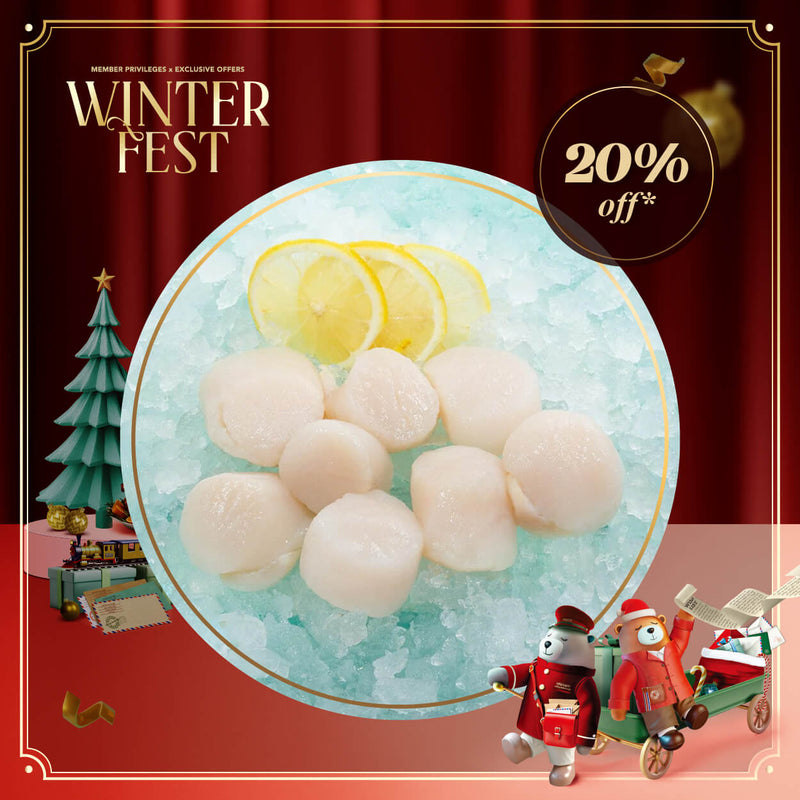 Japan Hokkaido Frozen Scallop U15 for Cooking  (1pack)