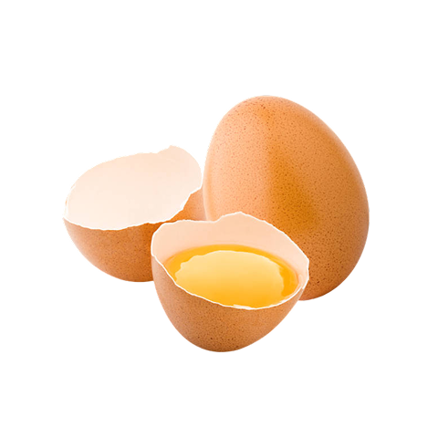 Egg