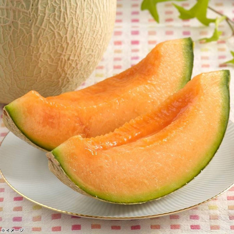 Japanese Yubari Melon - Case  (1box)