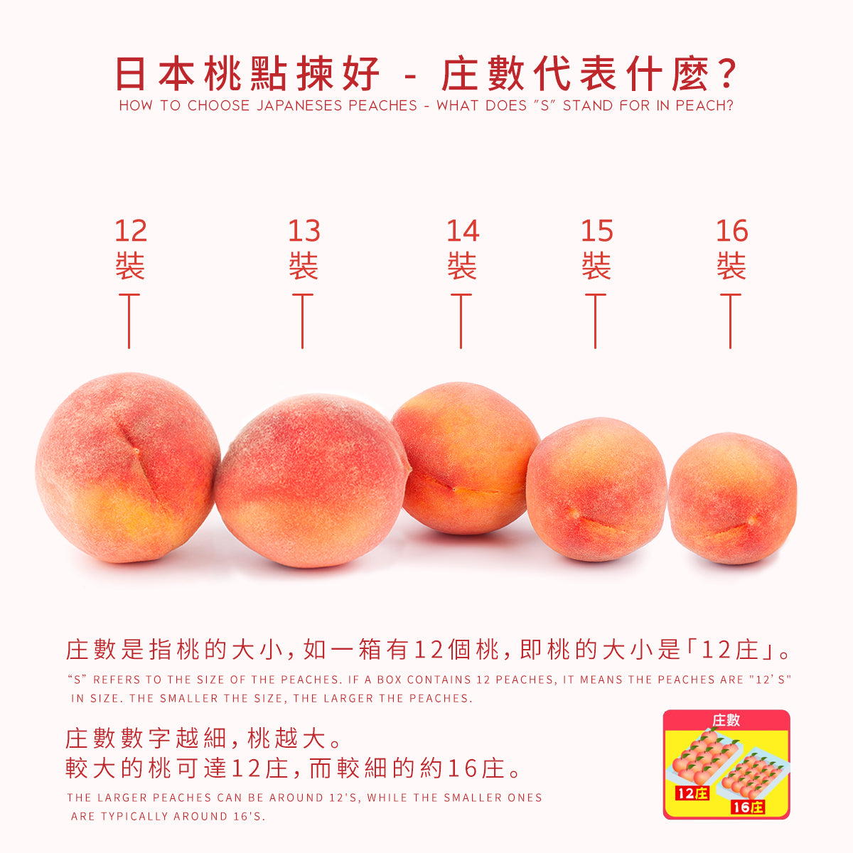 Japan Wakayama Peach  (1pack)