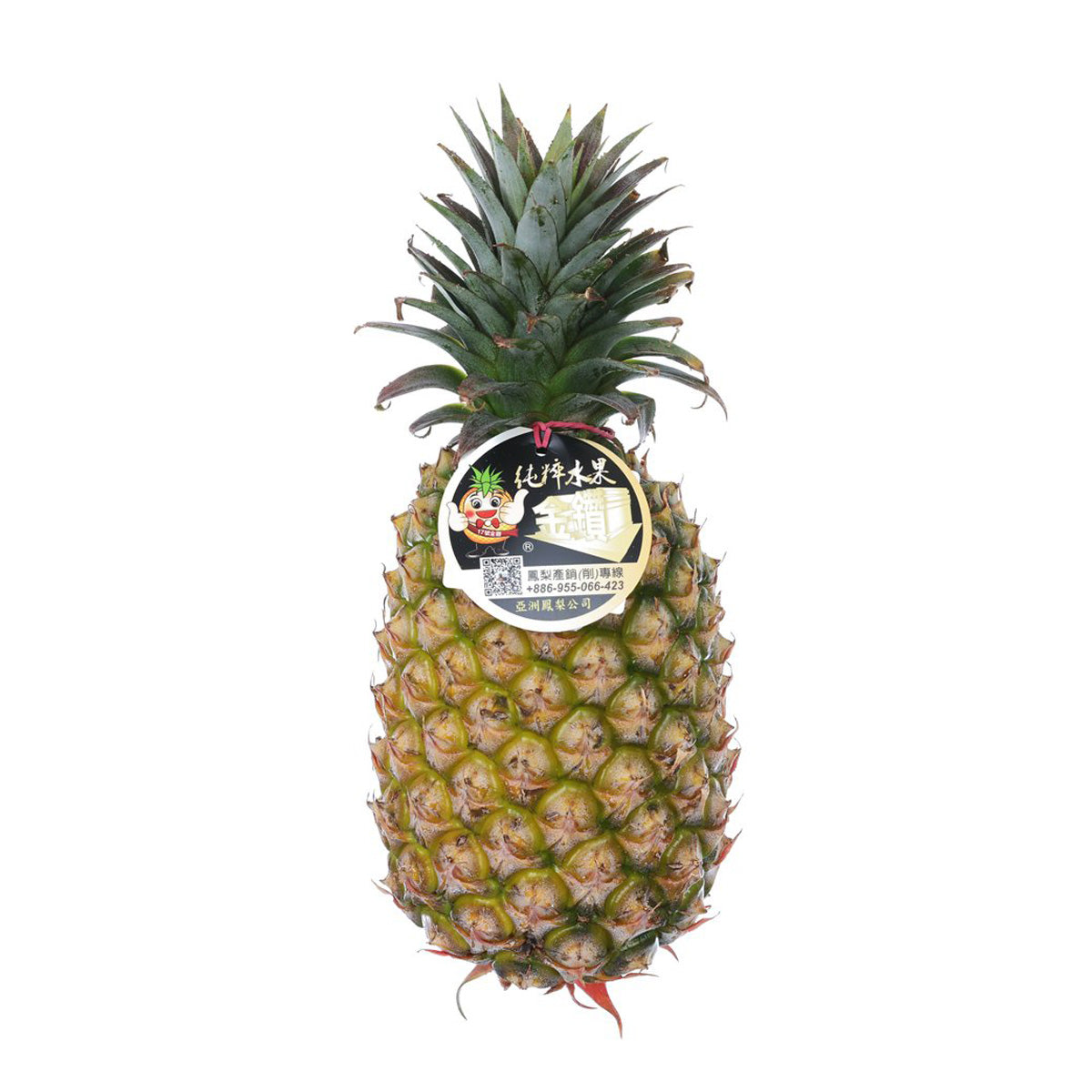 Taiwanese Golden Pineapple  (7pcs)
