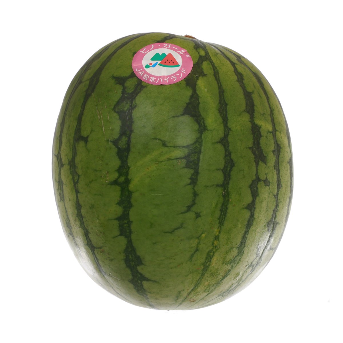 Japanese Pino Girl Kodama Watermelon  (1pc)