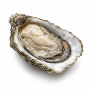 GILLARDEAU French Gillardeau GIGA Speciale Oysters Nr.00  (1pc)