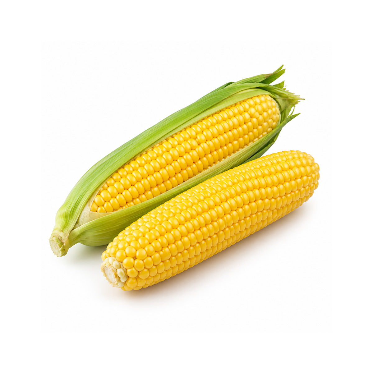 Australian Sweet Corn [Pack]  (500g)