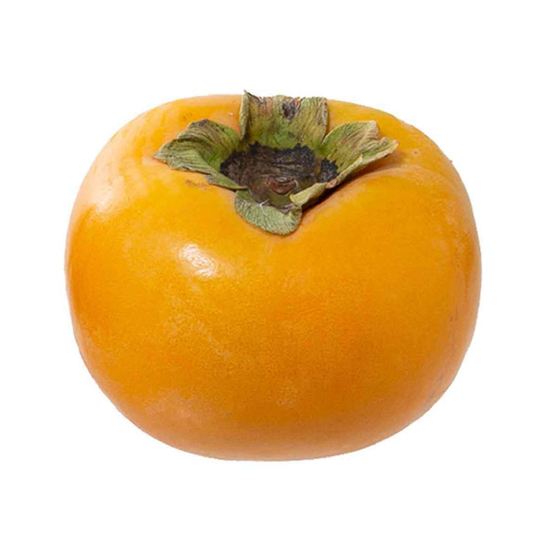 Japanese Taisyu Persimmon  (1pc)