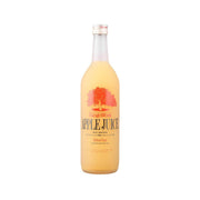 RINGOWORK Apple Juice - Refresh Taste [Bottle]  (720mL)