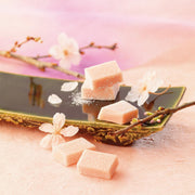 ROYCE' Nama Chocolate - Sakura Fromage  (125g)