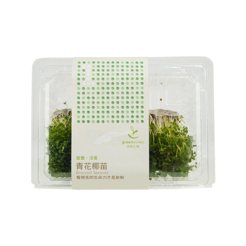 Taiwanese Broccoli Sprouts - city&