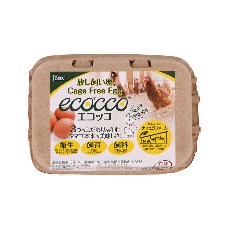 MARUICHIFARM Ecocco Cage Free Eggs  (6pcs)