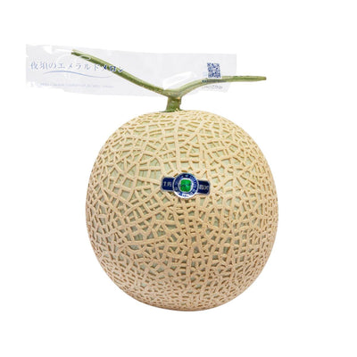 Fruit & Vegetable - Fruit Selection - Japan Kochi Emerald Melon  (1pc)